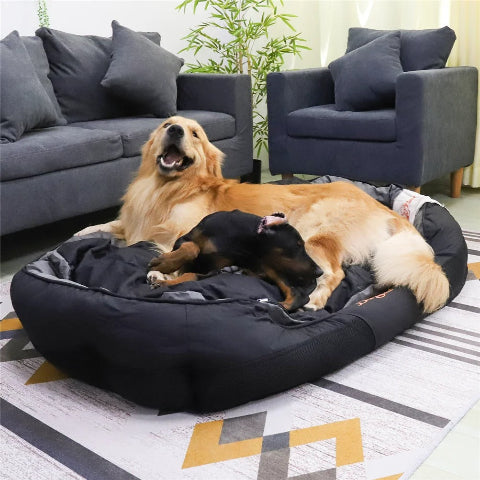 canape chien bingopaw deux chiens