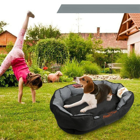 canape chien bingopaw exterieur