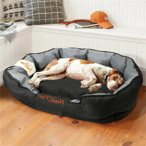canape chien bingopaw pointer