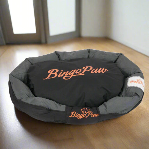 canape chien bingopaw