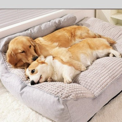 canape chien xxl douillet