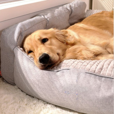 canape chien xxl moelleux