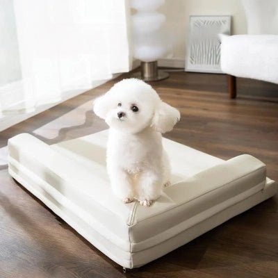 mignon canape pour chien cuir