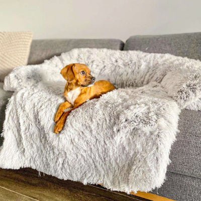 cafe latte canape pour chien sofabed chiot