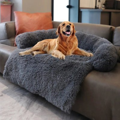 sofabed canape pour chien golden retreiver