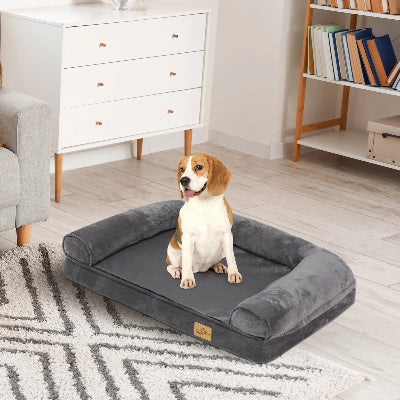 canape pour chien spacieux beagle