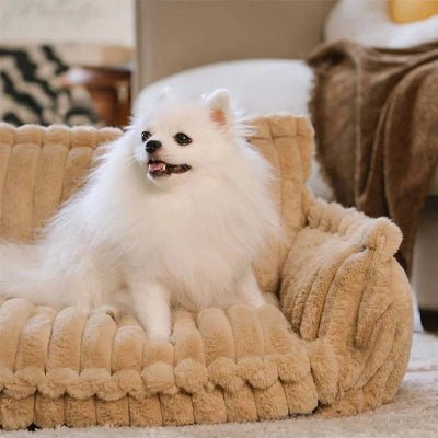 canape pour chien tinycouch petites races