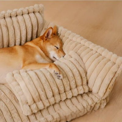 doux canape pour chien tinycouch