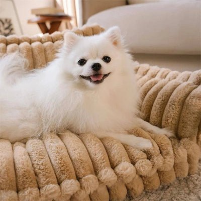 canape pour chien tinycouch confortable