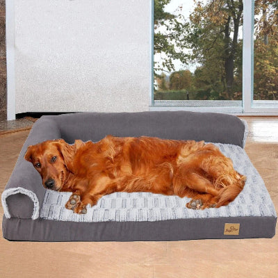 canape pour chien xxl golden