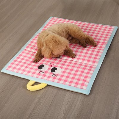 caniche sur tapis rafraichissant chien fraisconfort rose