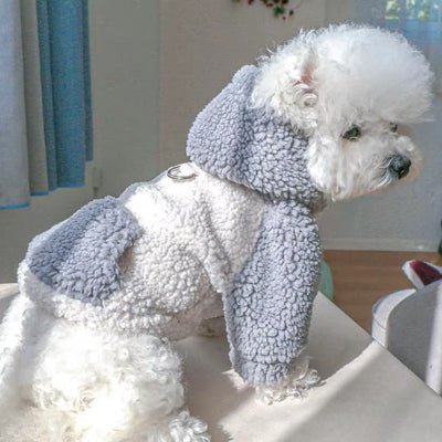 gris chien manteau hoodie