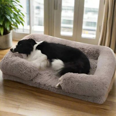 douillet couchage pour chien comfypro beige