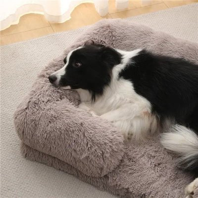 couchage pour chien comfypro berger australien