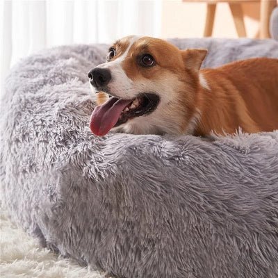 douillet coussin chien cocoony