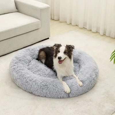 coussin chien cocoony berger australien