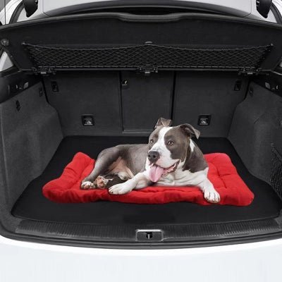 coussin chien portable voiture