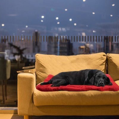 coussin chien portable protection interieur