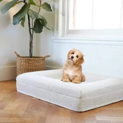 coussin chien rectangle confortable