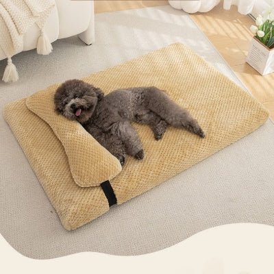 oreiller coussin dehoussable chien beige