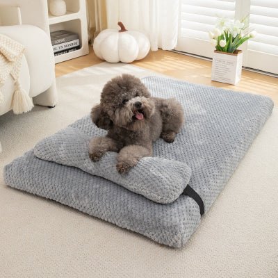 beau coussin dehoussable chien gris