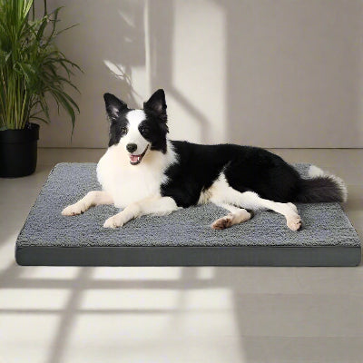 coussin pour chien dehoussable border collie