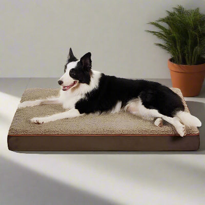 coussin pour chien dehoussable marron