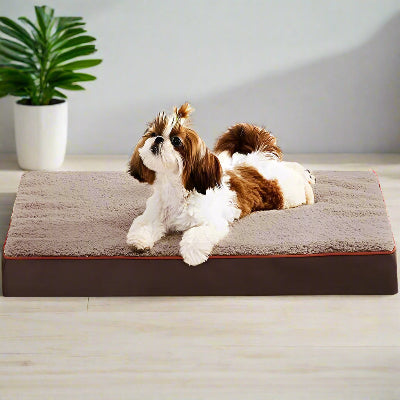 coussin pour chien dehoussable shihtzu