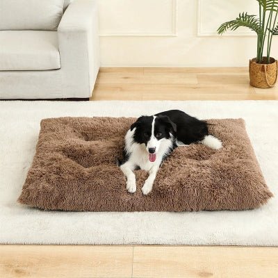 coussins pour chien marron