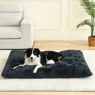 coussins pour chien gris fonce