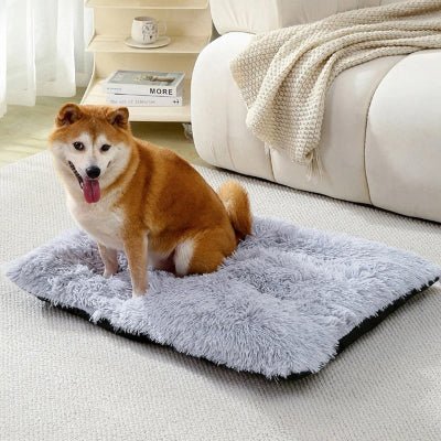 coussins pour chien akita