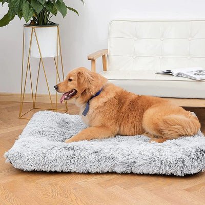 coussins pour chien golden