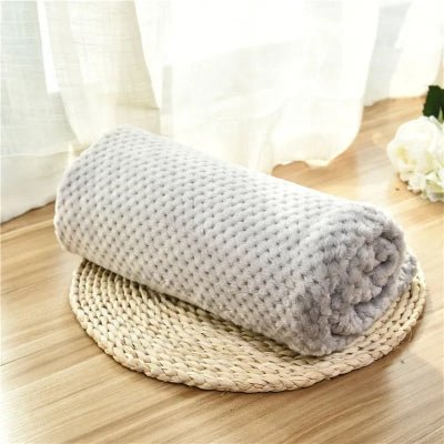 couverture chien grise