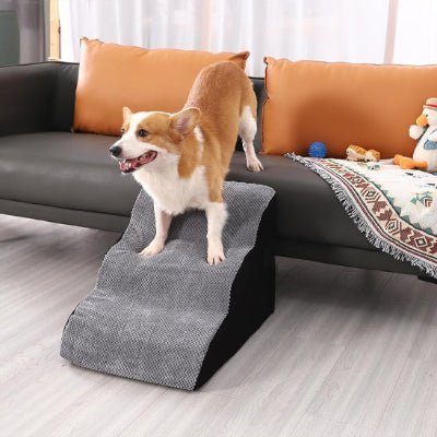 rampe escalier pour chien