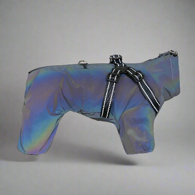 impermeable pour chien wetfreemood reflechissant