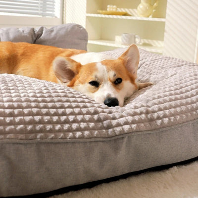 joli canape chien xxl
