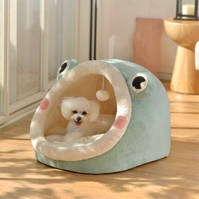 lit-chien-grenouille-acceuillant
