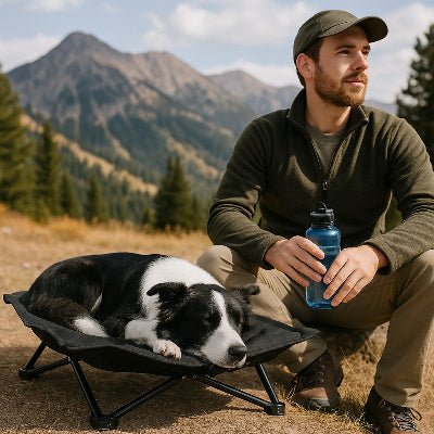 lit de camp chien montagne