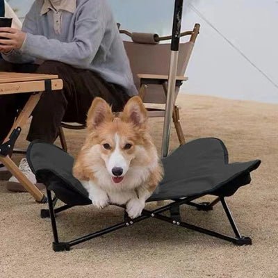 lit de camp chien corgi
