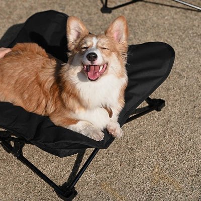 confortable lit de camp chien