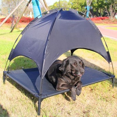 pare soleil lit de camp pour chien