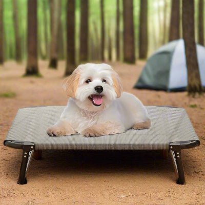 lit pour chien sureleve shihtzu