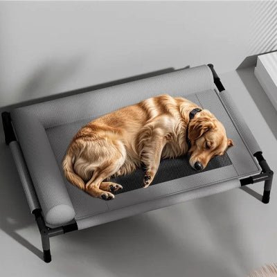 lit-pour-chien-sureleve-l-pillow-innovant