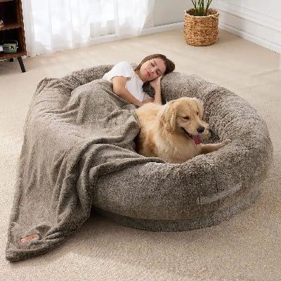golden maitre lit pour chien xxl
