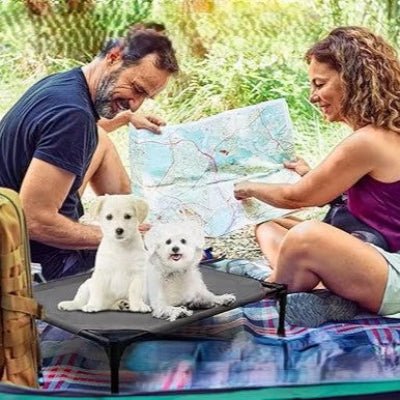 lit sureleve chien exterieur activite