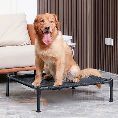 lit sureleve chien golden