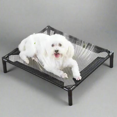lit sureleve chien respirant
