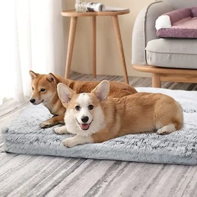 matelas pour chien orthomatcare corgi akita