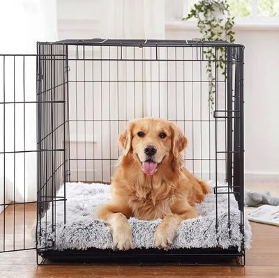 golden matelas pour chien orthomatcare cage