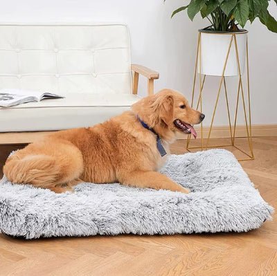 matelas pour chien orthomatcare golden